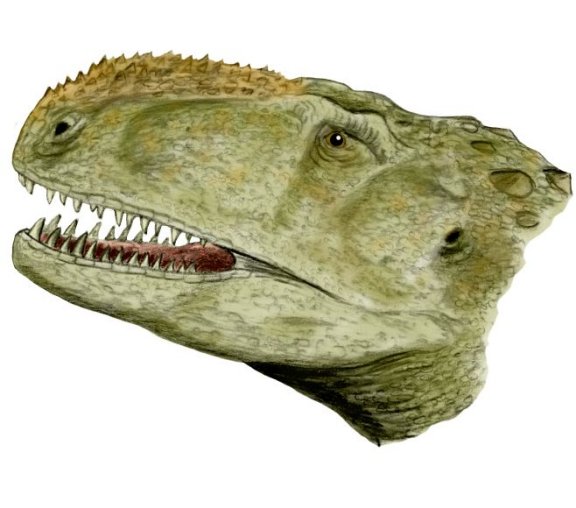 Abelisaurus comahuensis - Prehistoric Animals