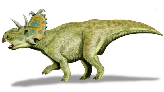 Albertaceraops nesmoi - Prehistoric Animals