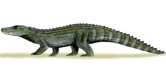 Allodaposuchus precedens - Prehistoric Animals