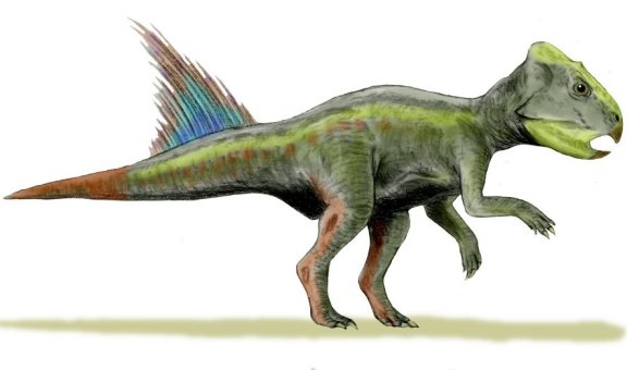 Archaeoceratops oshimai - Prehistoric Animals