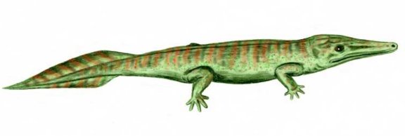 Archegosaurus decheni - Prehistoric Animals