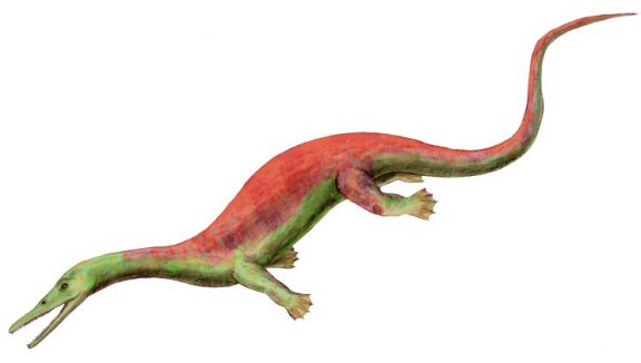 Askeptosaurus italicus - Prehistoric Animals