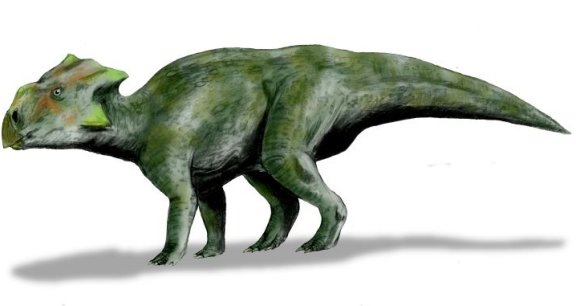Bagaceratops rozhdestvenskyi - Prehistoric Animals