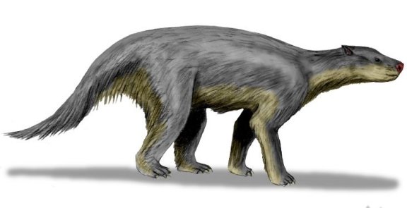 Barylambda faberi - Prehistoric Animals