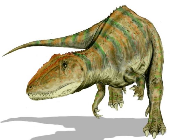 Carcharodontosaurus saharicus - Prehistoric Animals