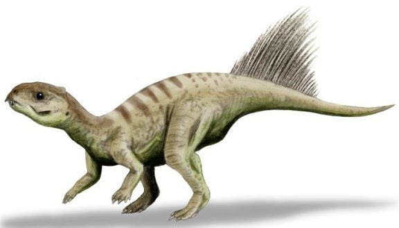 Chaoyangsaurus youngi - Prehistoric Animals