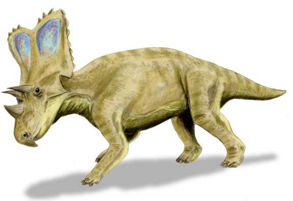 Chasmosaurus belli - Prehistoric Animals