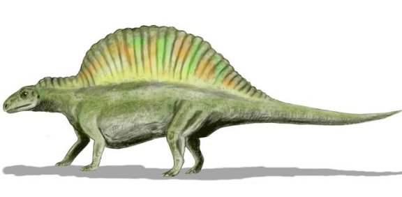 Ctenosauriscus koeneni - Prehistoric Animals