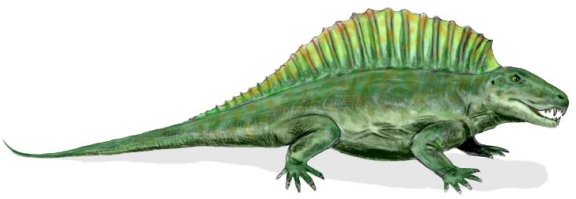 Ctenospondylus casei - Prehistoric Animals