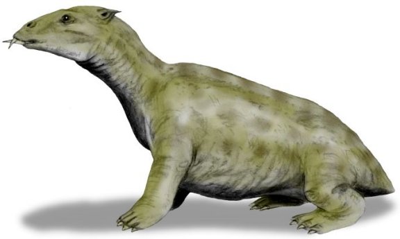 Desmostylus hesperus - Prehistoric Animals