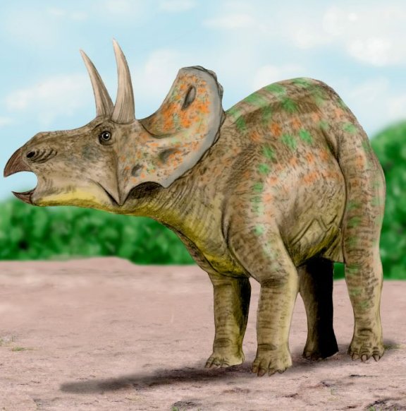 Diceratus hatcheri - Prehistoric Animals