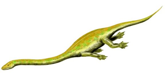 Dinocephalosaurus orientalis - Prehistoric Animals
