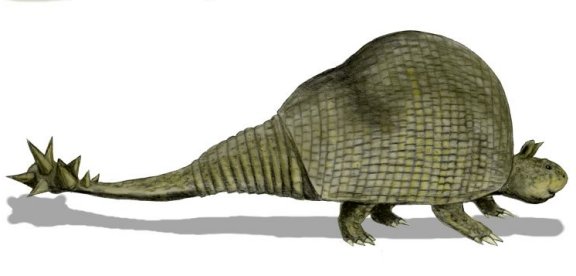 Doedicurus clavicaudatus - Prehistoric Animals
