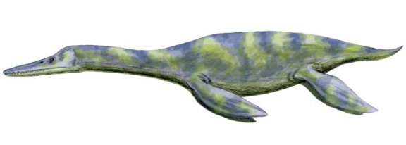Dolichorhynchops osborni - Prehistoric Animals