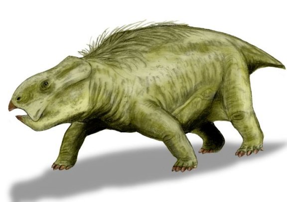 Dolichuranus primaevus - Prehistoric Animals