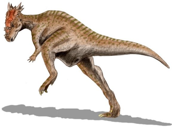 Dracorex hogwartsia - Prehistoric Animals