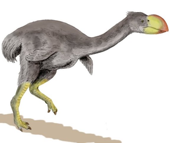 Dromornis stirtoni - Prehistoric Animals