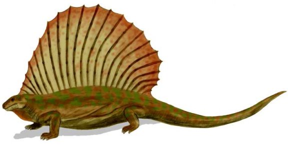 Edaphosaurus - Prehistoric Animals