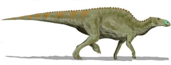 Edmontosaurus - Prehistoric Animals