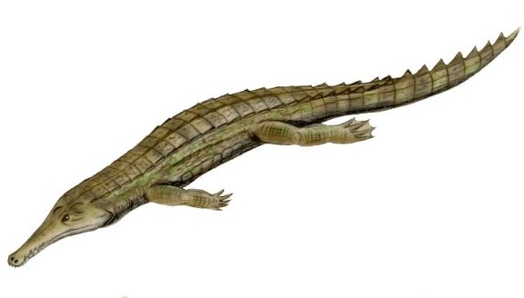 Elosuchus cherifiensis - Prehistoric Animals