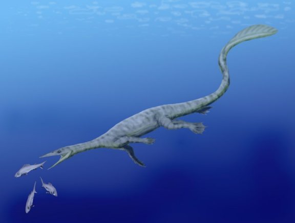 Endennasaurus acutirostris - Prehistoric Animals