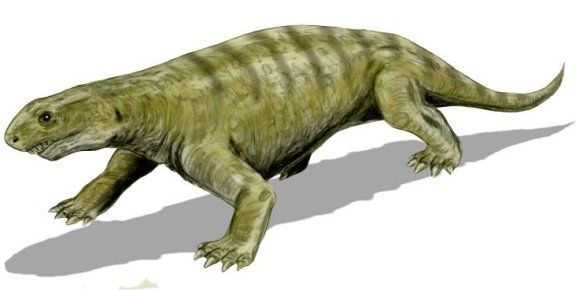 Ennatosaurus tecton - Prehistoric Animals