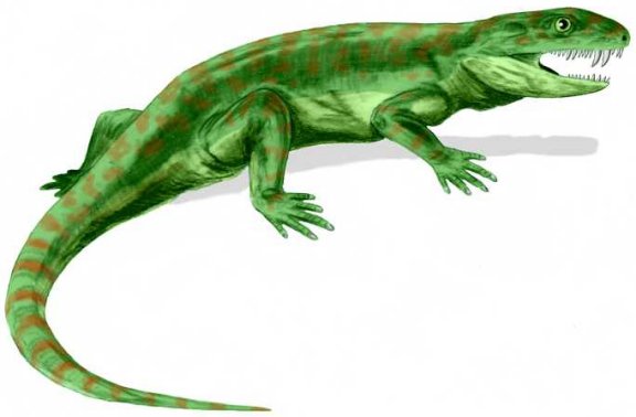 Eothyris parkeyi - Prehistoric Animals
