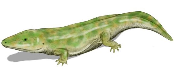 Eryosuchus - Prehistoric Animals