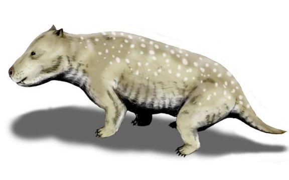 Exaeretodon frenguellii - Prehistoric Animals