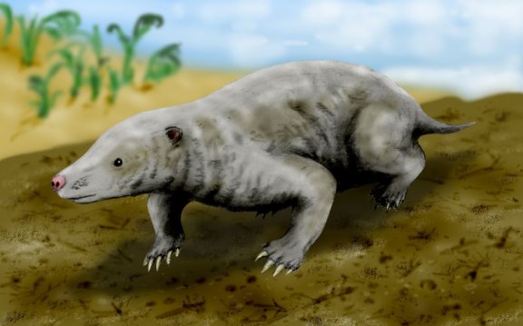 Fruitafossor windscheffeli - Prehistoric Animals