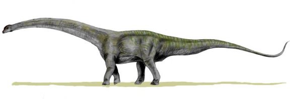 Futalognkosaurus dukei - Prehistoric Animals