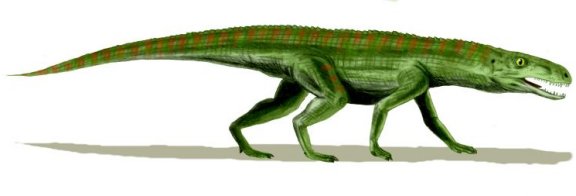 Gracilisuchus stipanicorum - Prehistoric Animals