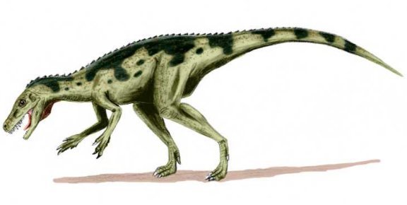 Herrerasaurus ischigualastensis - Prehistoric Animals