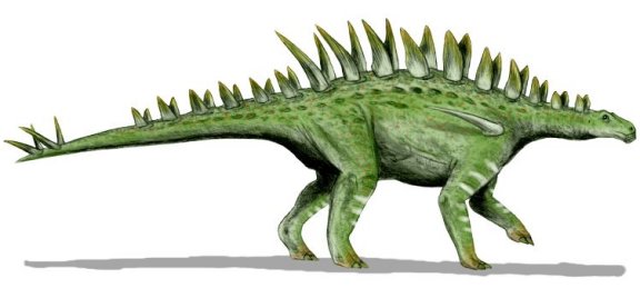 Huayangosaurus taibaii - Prehistoric Animals
