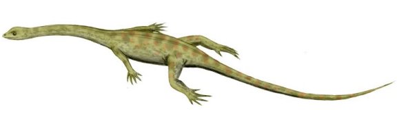Hyphalosaurus lingyuanensis - Prehistoric Animals