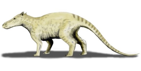 Ichthyolestes pinfoldi - Prehistoric Animals