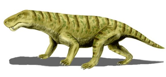 Inostrancevia - Prehistoric Animals