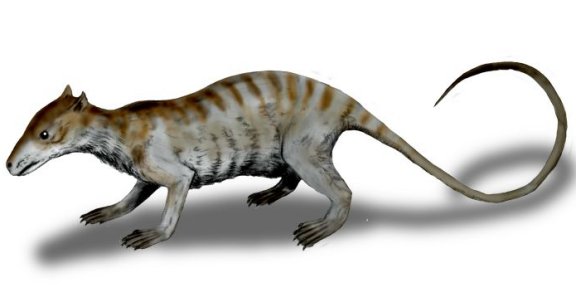 Jeholodens jenkinsi - Prehistoric Animals