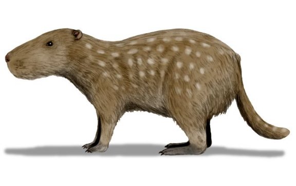 Josephoartigasia monesi - Prehistoric Animals