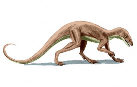 Lagosuchus - Prehistoric Animals