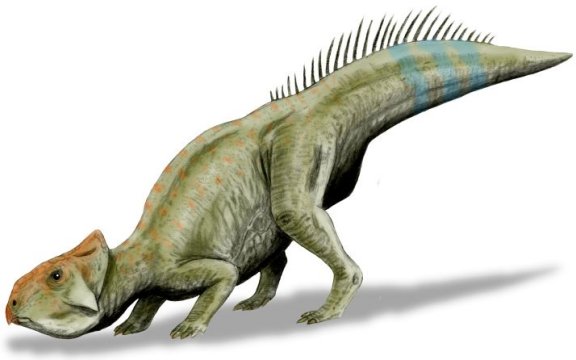 Leptoceratops - Prehistoric Animals