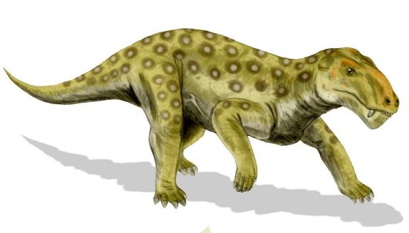 Lycaenops - Prehistoric Animals