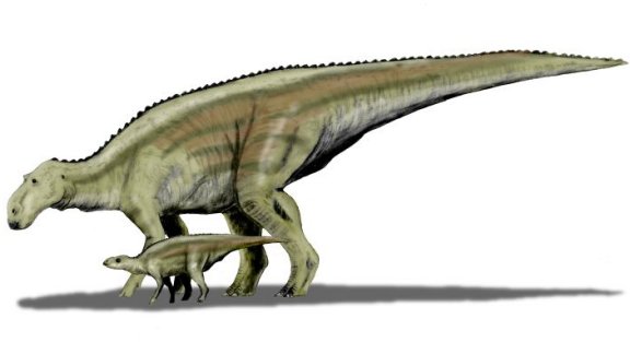 Maiasaura peeblesorum - Prehistoric Animals