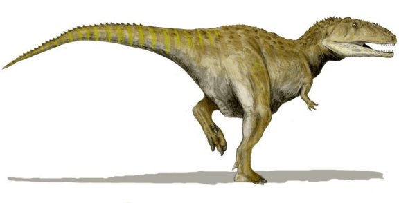 Mapusaurus roseae - Prehistoric Animals