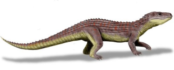 Mariliasuchus amarili - Prehistoric Animals
