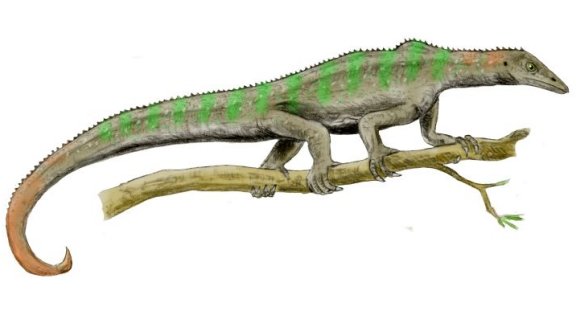 Megalancosaurus preonensis - Prehistoric Animals
