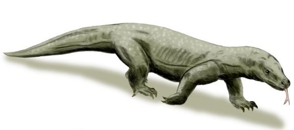Megalania - Prehistoric Animals