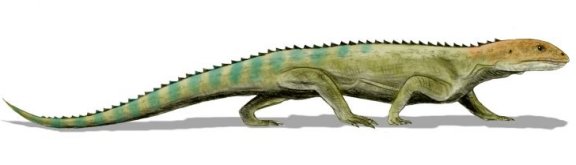 Mesosuchus browni - Prehistoric Animals