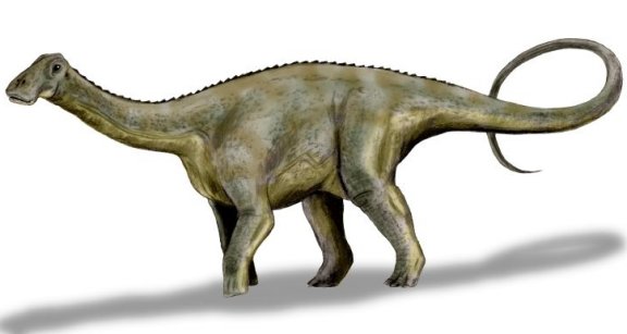 Nigersaurus taqueti - Prehistoric Animals