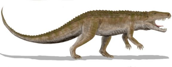 Ornithosuchus longidens - Prehistoric Animals